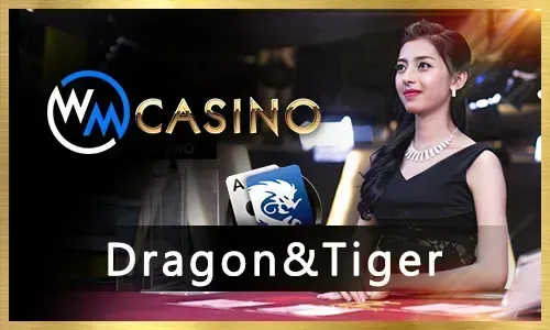 Vibrant online casino slot machines with flashing lights and symbols.